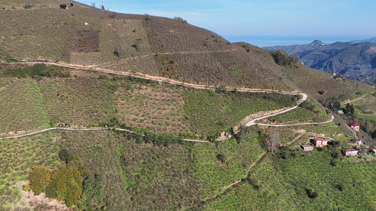 MABEL GAYRİMENKUL-ŞEYHMUSA KÖYÜ FIRSAT FINDIK BAHÇESİ